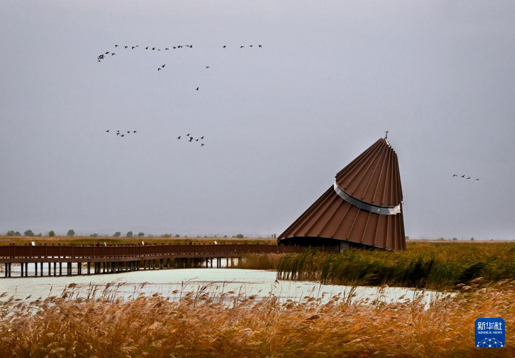 富锦湿地秋景如画(图4)