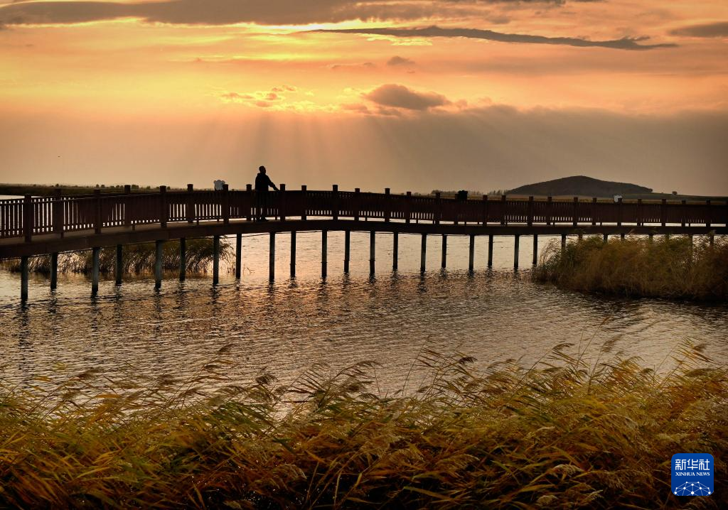 富锦湿地秋景如画(图6)