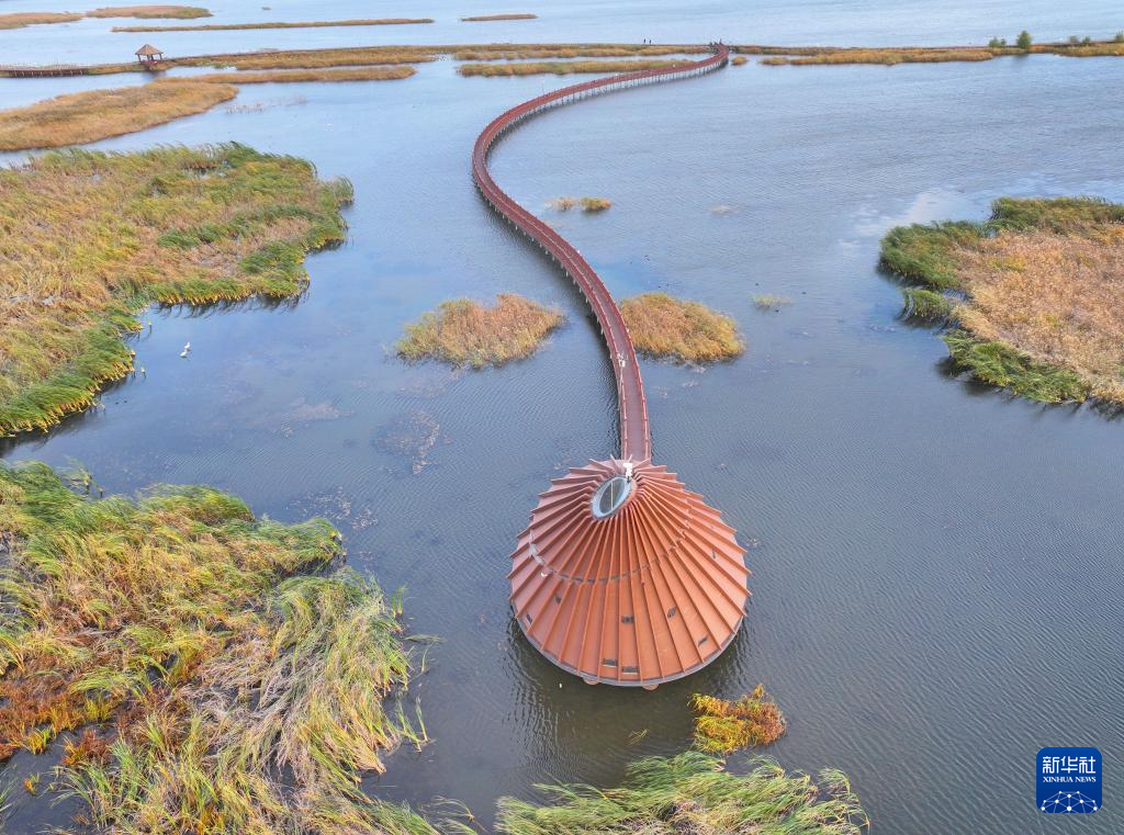 富锦湿地秋景如画(图7)
