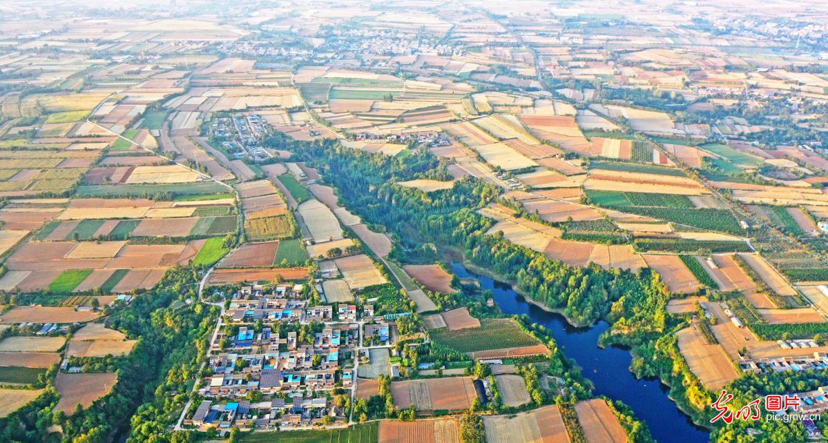 岭乡田野秋色如画(图1)