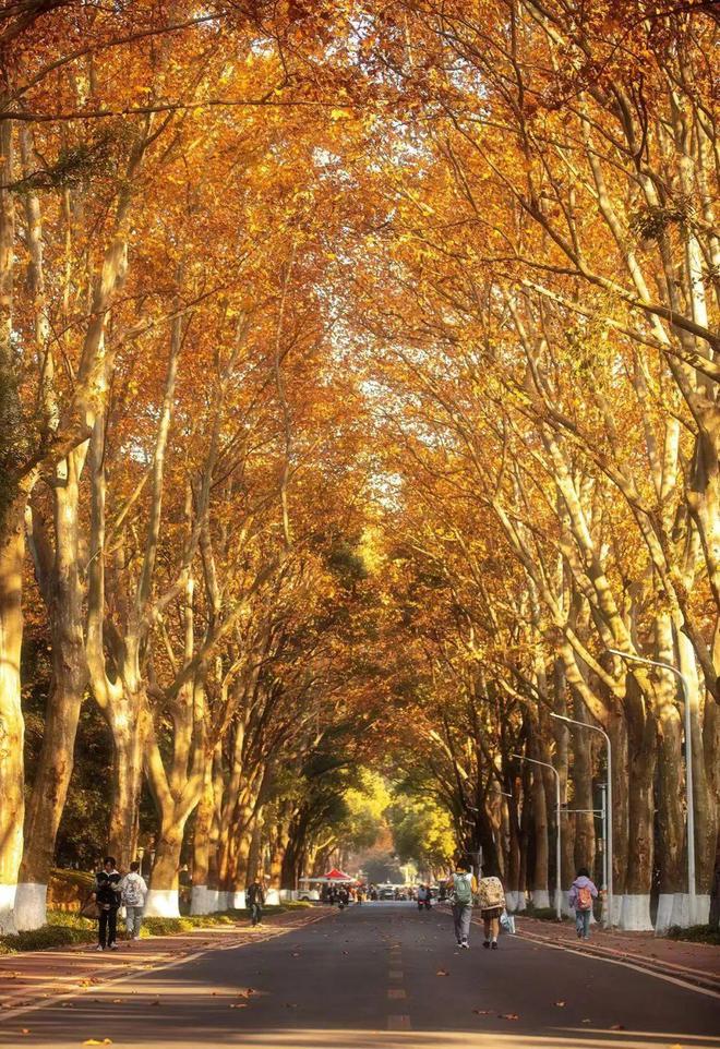 东湖边、华师旁最后一张178平“入场券”(图3)