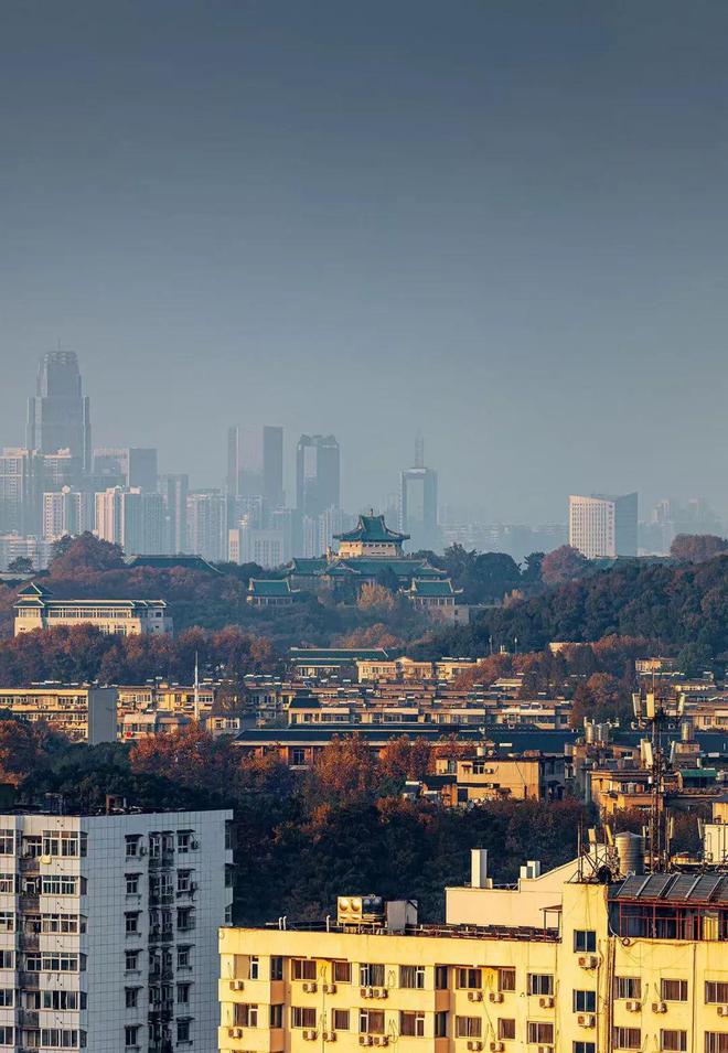 东湖边、华师旁最后一张178平“入场券”(图7)