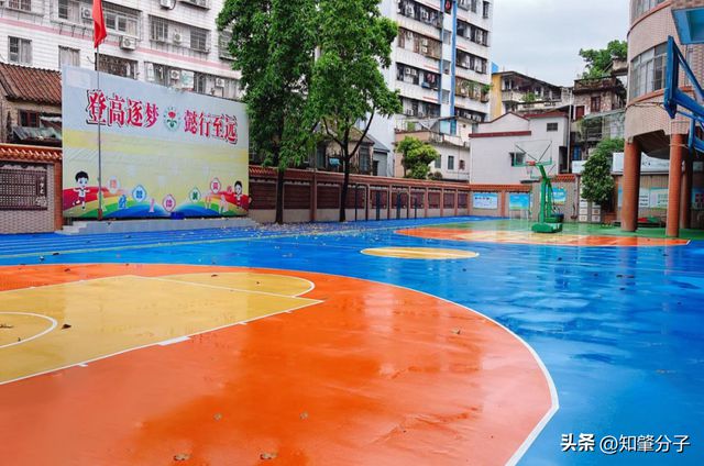 实景图来袭！肇庆这些学校“大变身”！(图1)