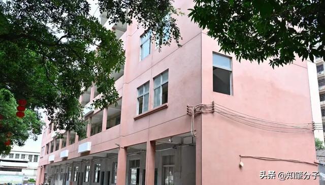 实景图来袭！肇庆这些学校“大变身”！(图2)