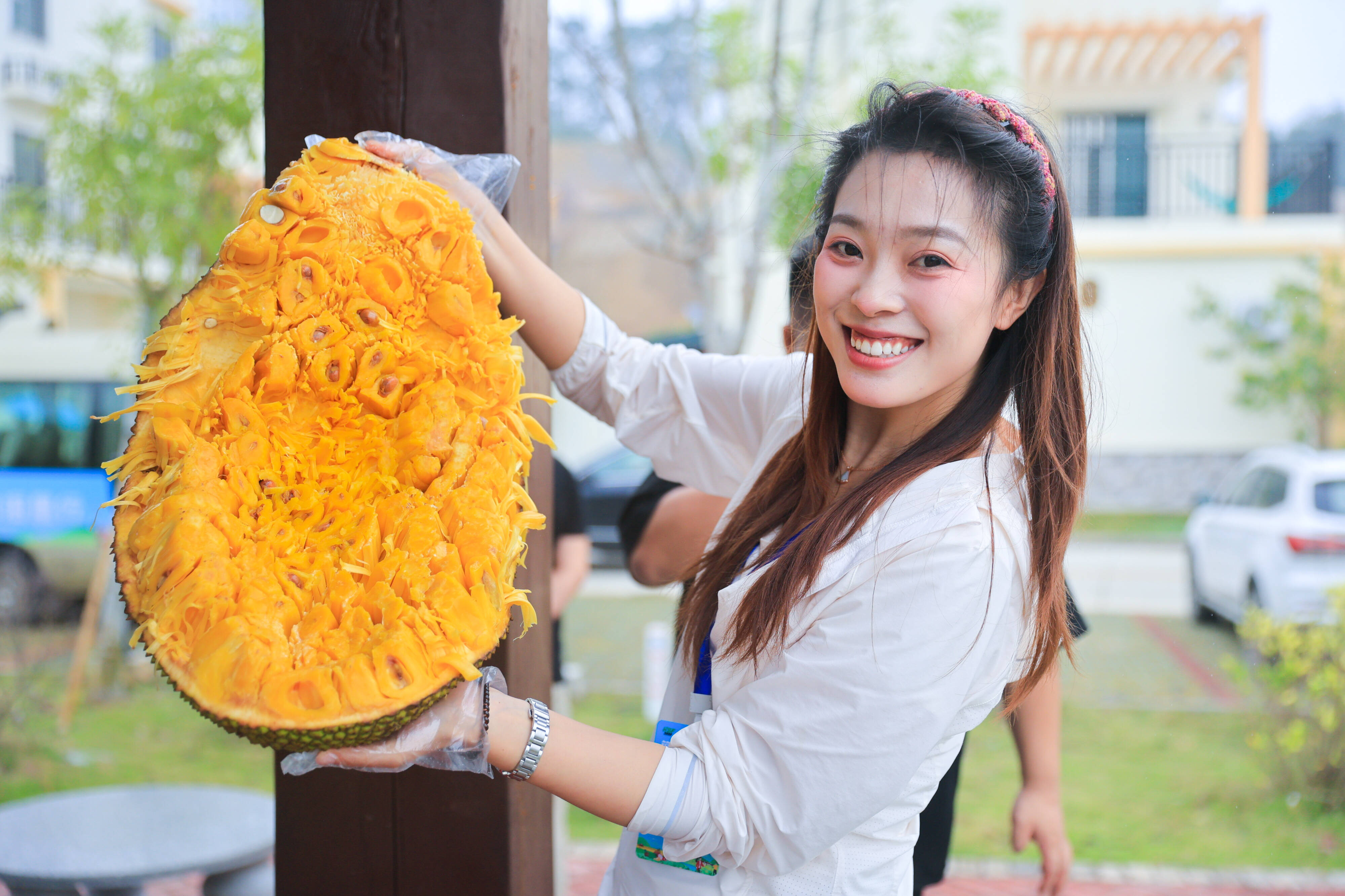 垦地合力让“移居”变“宜居”“2024年全国重点网络媒体海垦行”走进西联南园小区(图2)