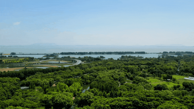 无锡滨湖·奥体潮鸣-2024奥体潮鸣小区环境、户型、房价(图8)