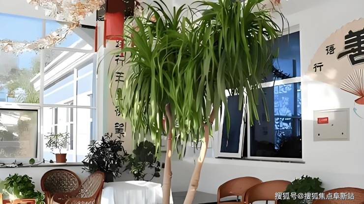 北京江达爱心养老院2024入住价格-11月最新地址、咨询电话及服务详询!(图2)