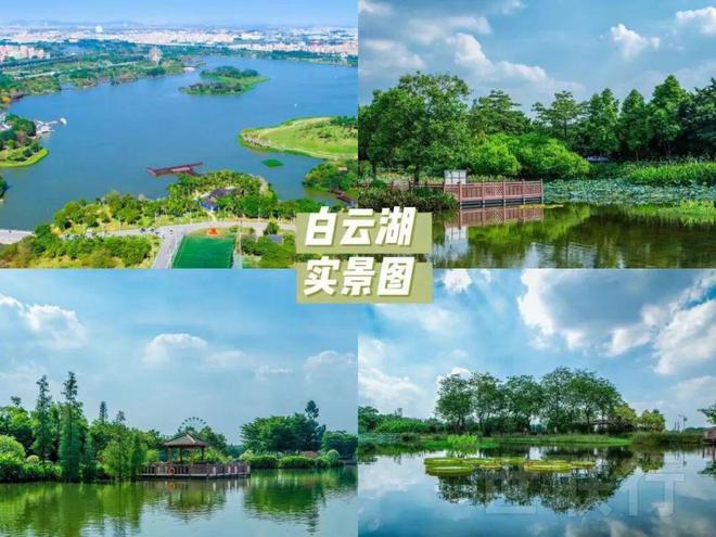 2024『品实云湖花城』营销中心品实云湖花城网站欢迎您(图6)