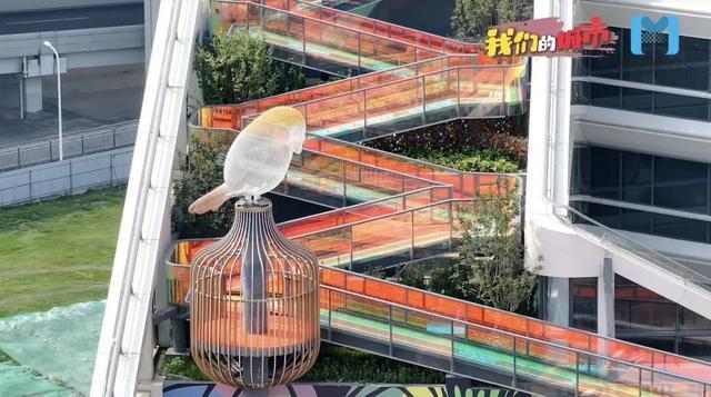 闵行一个崭新城市综合体全新亮相(图4)