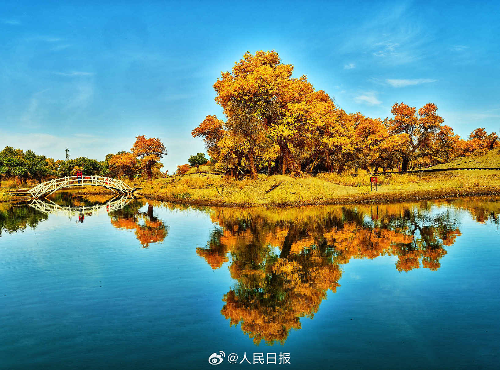 【8点见】球场暴力！中国足协处罚两家俱乐部及有关球员(图9)