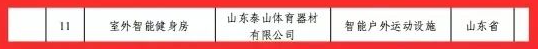 泰山体育室外智能健身房入选“2024年智能体育典型案例”(图2)