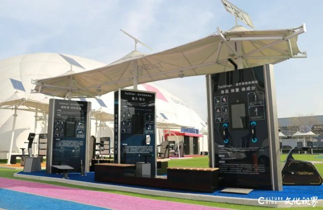 泰山体育室外智能健身房入选“2024年智能体育典型案例”(图3)