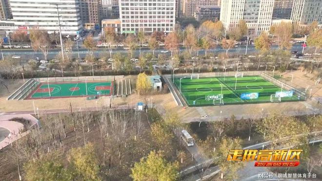 B体育：高新区体育：回顾2024展望2025(图1)