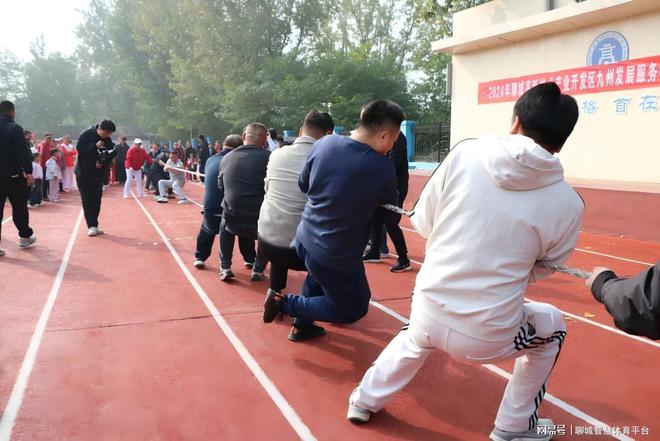 B体育：高新区体育：回顾2024展望2025(图2)