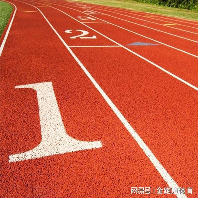 全塑型塑胶跑道：引领运动新潮流(图3)