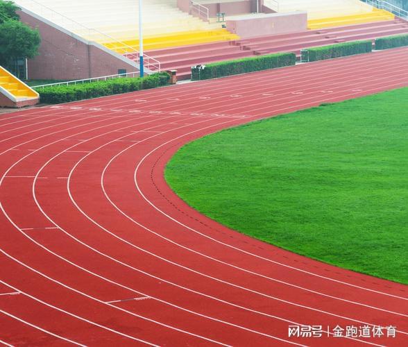 全塑型塑胶跑道：引领运动新潮流(图2)