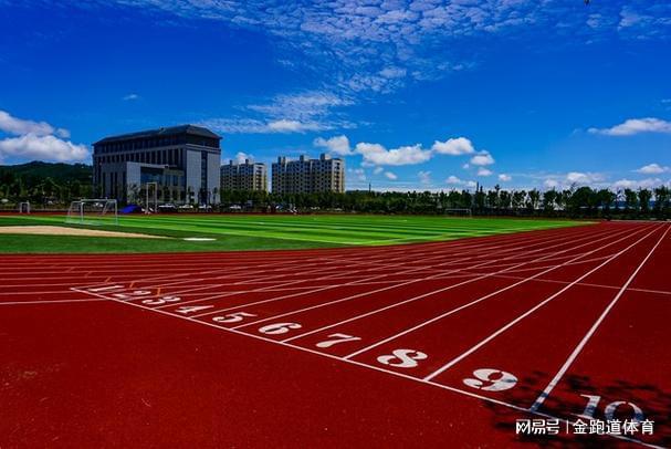 全塑型塑胶跑道：引领运动新潮流(图5)