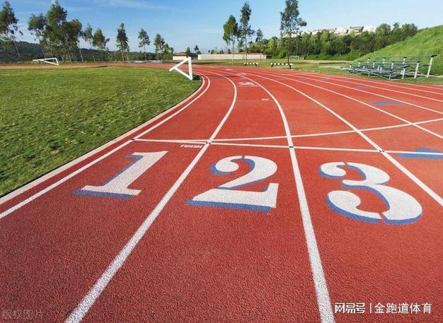 全塑型塑胶跑道：引领运动新潮流(图4)
