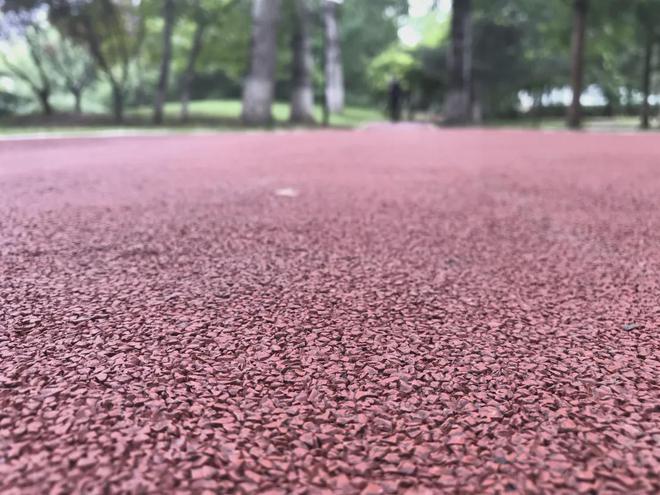 B·sport（中国体育）：INC-5：推动塑料污染治理公众参与成关键议题(图2)