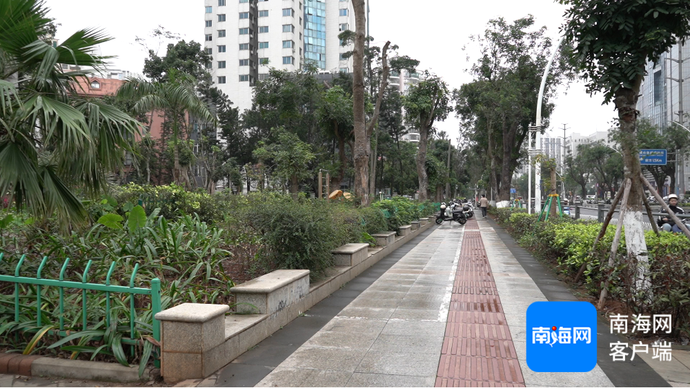 海口今年计划再建10个以上“口袋公园”(图2)