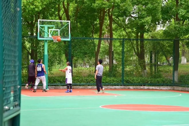 B体育：春天的脚步近了！九亭这些运动健身好去处等你来打卡(图8)