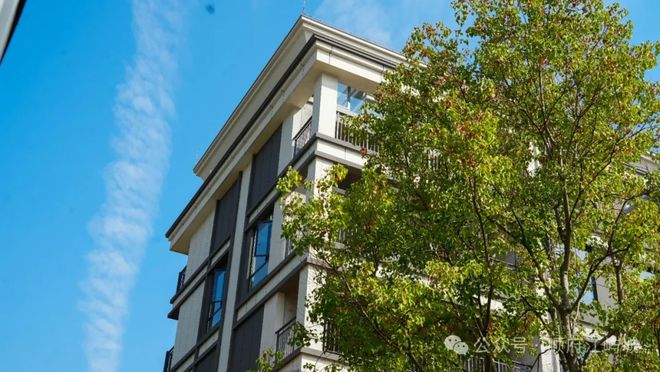 湖南顺府置业有限公司顺府江屿城项目交付揭牌仪式隆重举行(图15)