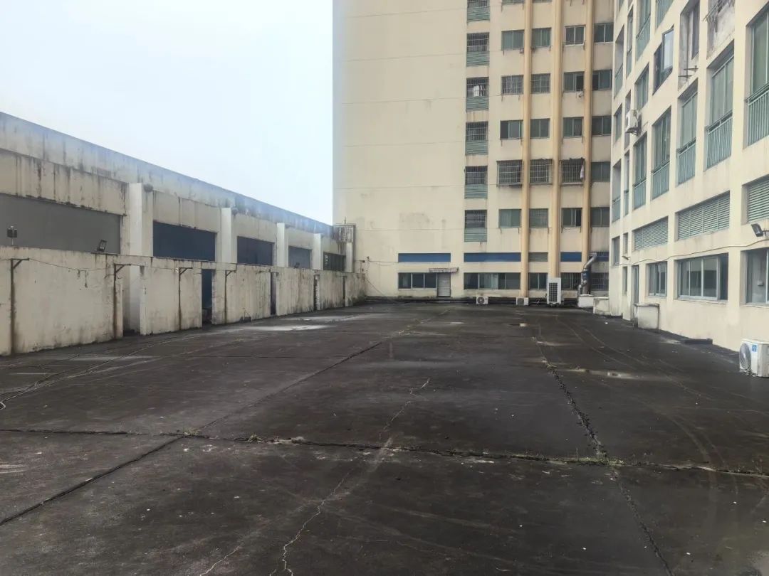 B体育：我们的家园丨640平方米体育空间！宁波这个社区闲置空地大变身(图1)