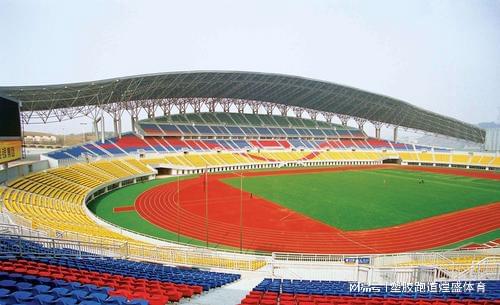 B体育：全塑型塑胶跑道价格详解(图2)