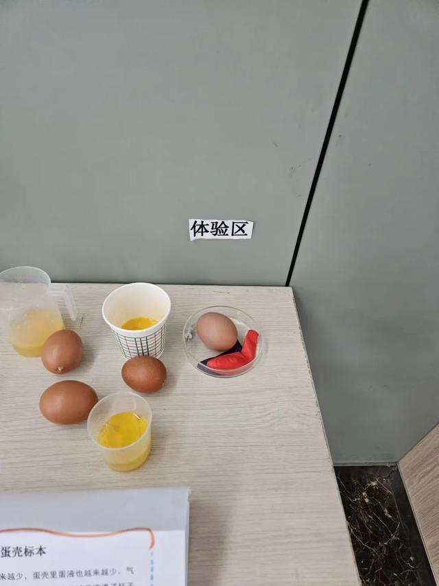 B体育：沣东九小开展2025年庆元旦社团作品展示活动(图7)