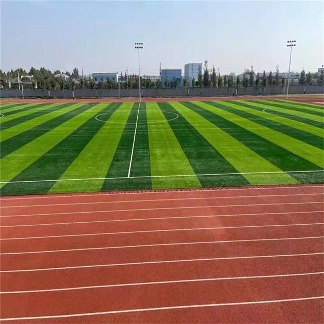 B体育：什么是透气型塑胶跑道有什么优点(图1)
