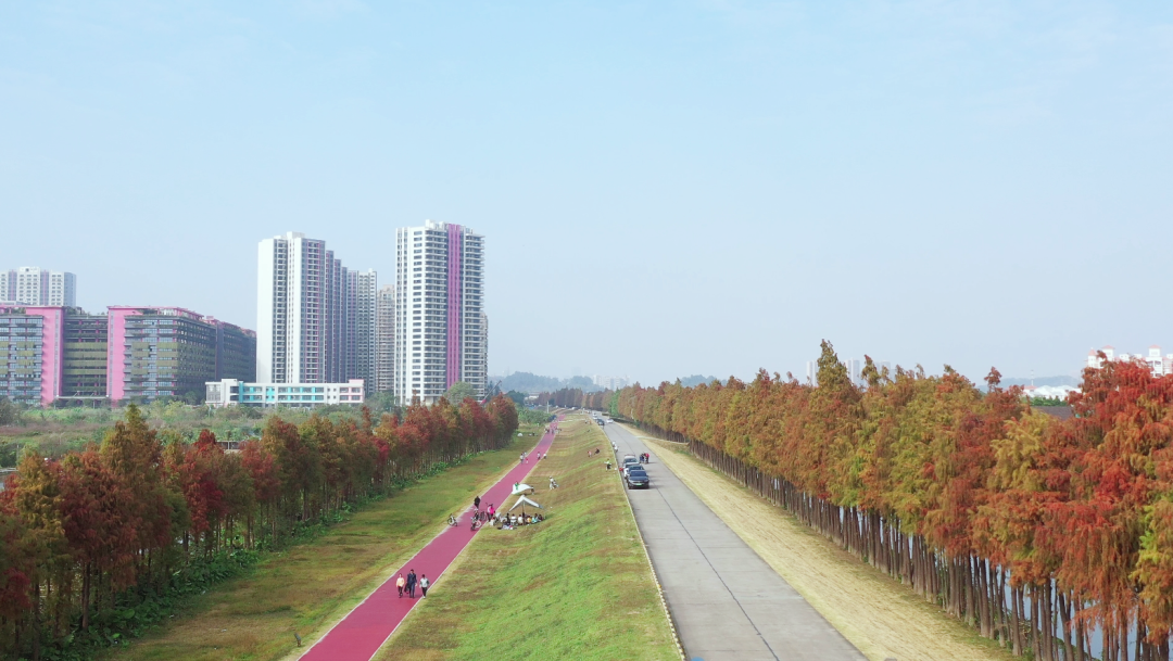 实景现房！一线江景！一桥到广州！北滘国企盘单价10500元㎡起(图4)