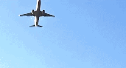 B·sport（中国体育）：最终确认179人遇难韩国失事客机仅2人幸存(图3)