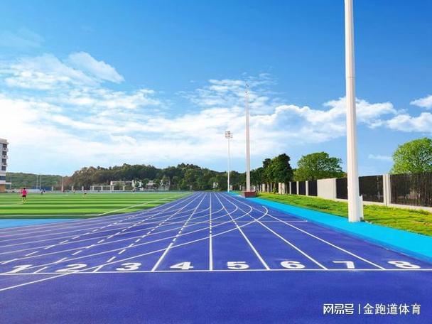 EPDM塑胶跑道费用知多少？全面解析让你一目了然(图5)