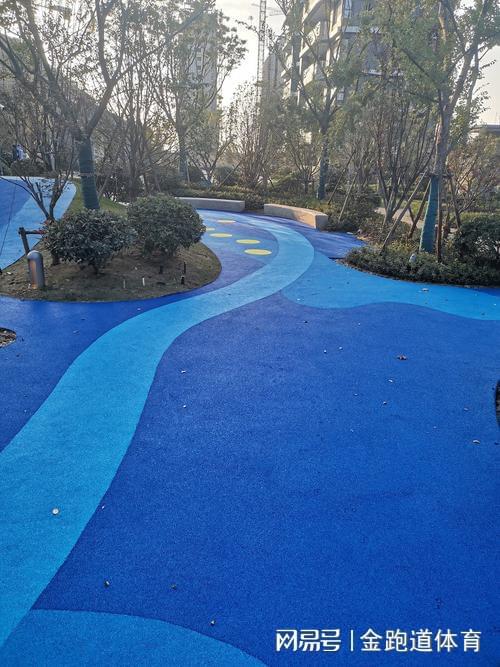 EPDM塑胶跑道费用知多少？全面解析让你一目了然(图3)