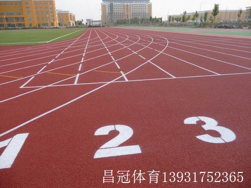 B体育：塑胶跑道厂家龙头(图2)
