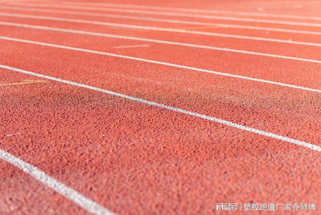揭秘塑胶跑道面层的多彩世界：缤纷色彩无尽可能一键了解报价(图1)