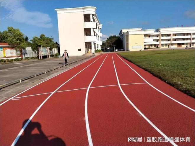 一文看懂！塑胶跑道有毒有害检测标准全解析(图4)