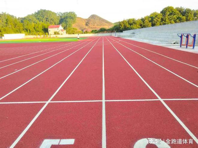 混合型塑胶跑道价格大揭秘(图3)