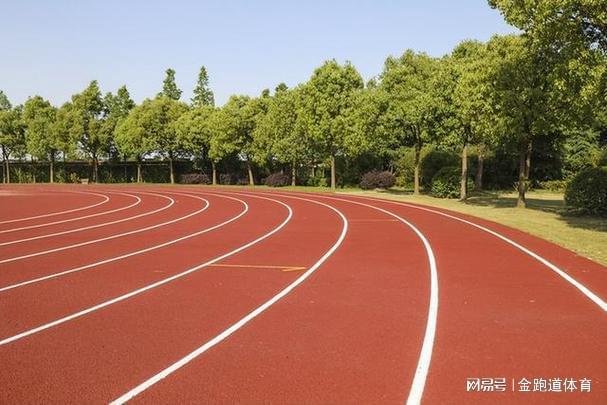 混合型塑胶跑道价格大揭秘(图4)