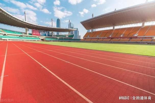 混合型塑胶跑道价格大揭秘(图5)