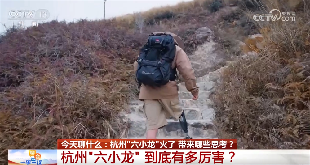 杭州“六小龙”到底有多厉害？一起来看他们各自赛道上的“成绩单”↓(图2)