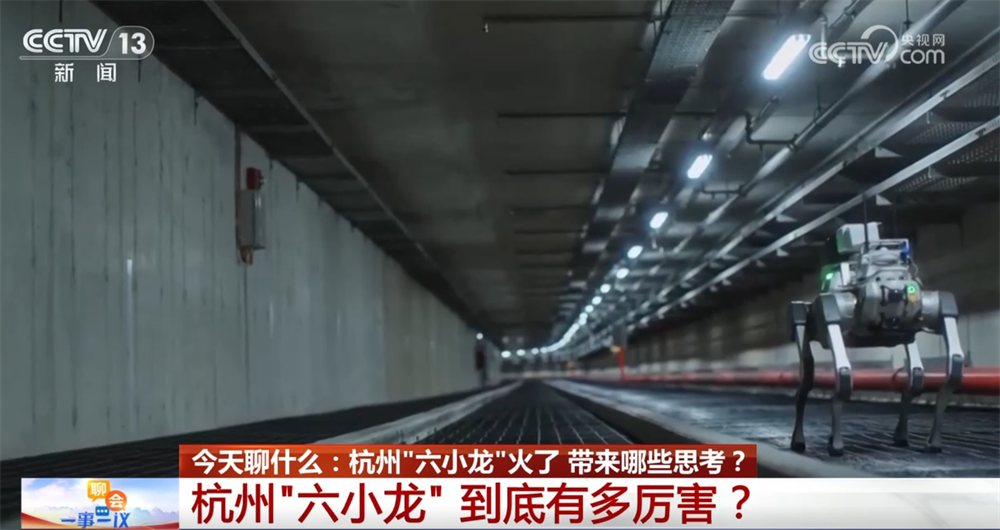 杭州“六小龙”到底有多厉害？一起来看他们各自赛道上的“成绩单”↓(图1)