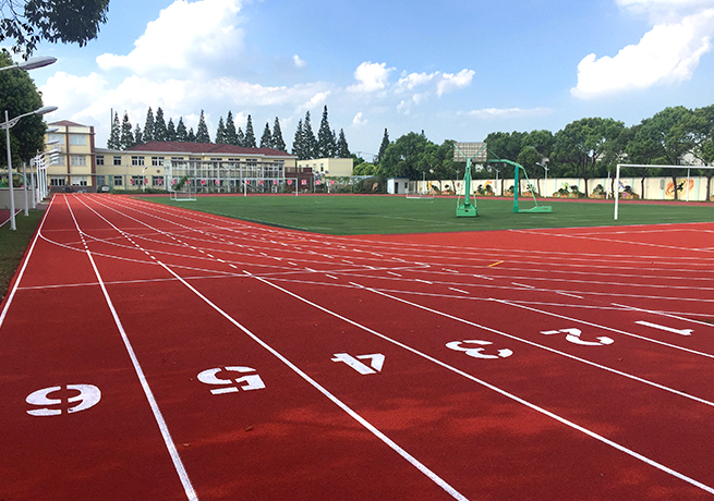不同塑胶跑道材料的区别是什么？(图1)