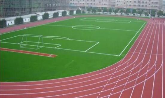 EPDM塑胶跑道你了解多少？(图4)