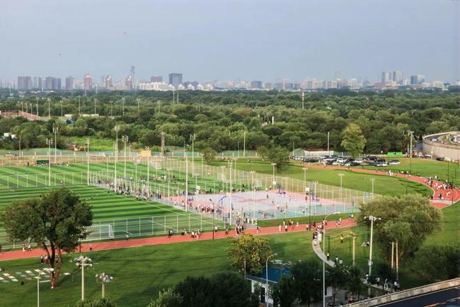 “城中村”蝶变“能量之森”！海淀这个万人运动场让城市活力跃迁(图1)