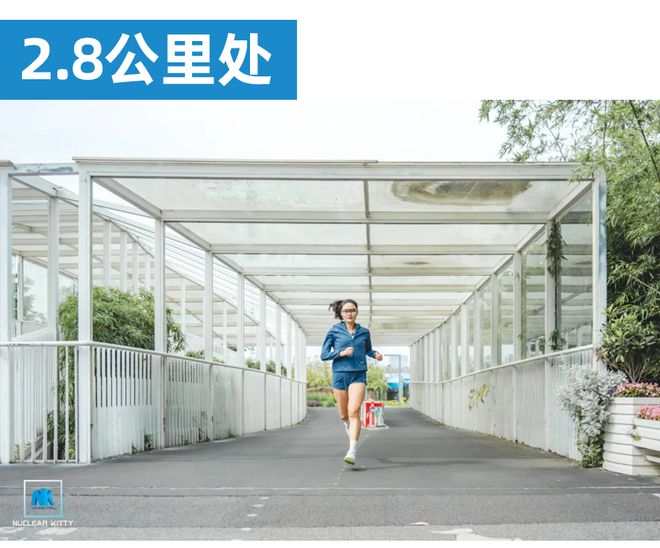 渣打10K赛道实探起跑到冲线保姆级全解析！（内有福利）(图10)