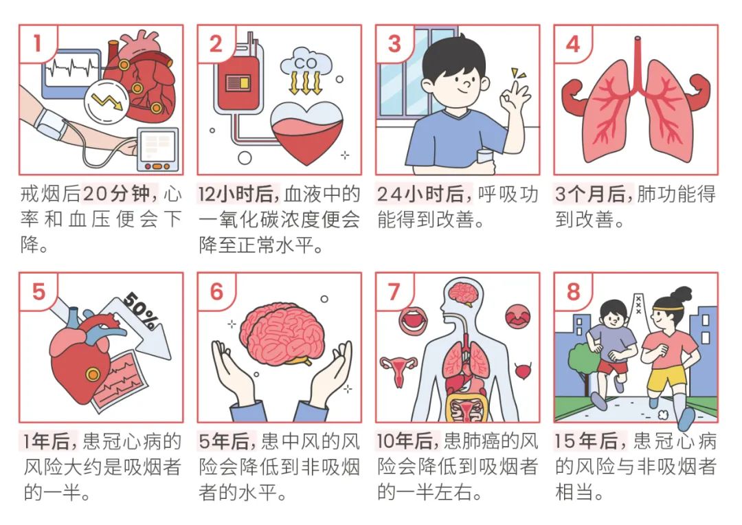 B体育：从青春开始的“健康倒计时”？早戒烟早获益！科普时间(图2)