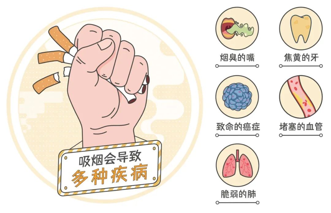 B体育：从青春开始的“健康倒计时”？早戒烟早获益！科普时间(图1)