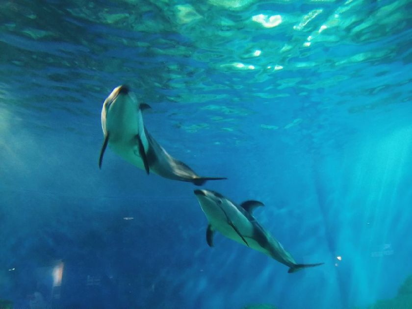 B·sport（中国体育）：2025重庆五一亲子活动有哪些？（时间+地点+攻略）(图2)