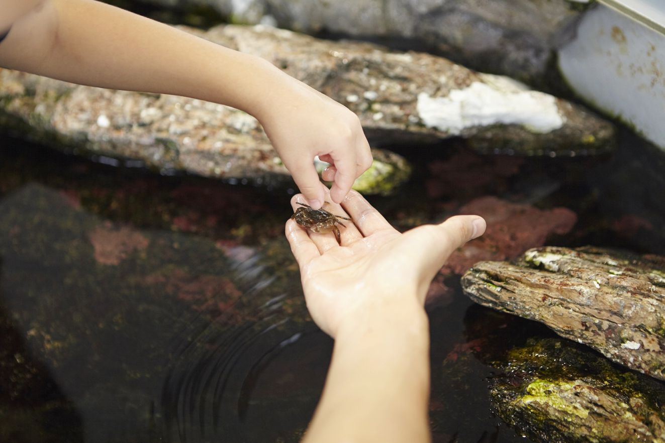 B·sport（中国体育）：2025重庆五一亲子活动有哪些？（时间+地点+攻略）(图12)